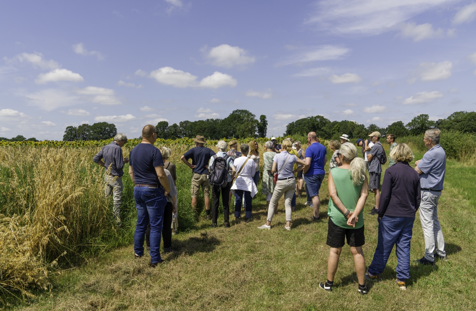 Diverse trainingen over een gezonde bodem, gezond voedsel en een gezond verdienmodel.