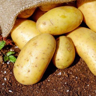 Vitabella aardappelen BIO
