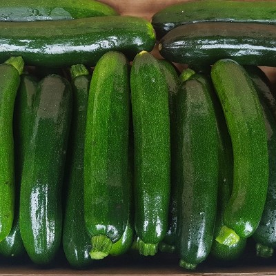 Groene courgette