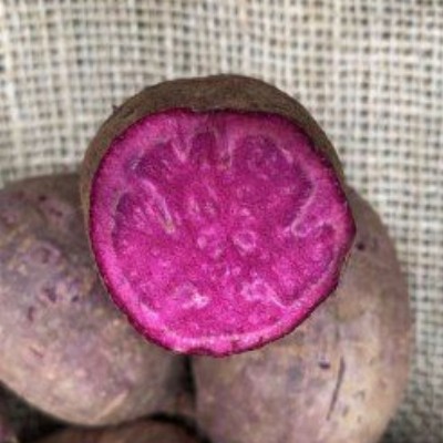Purple Rain aardappel (paars/ wit) BIO