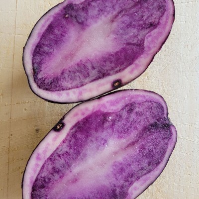 Purple Rain aardappel (paars/ wit) BIO