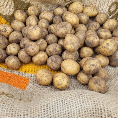 Kriel aardappelen BIO