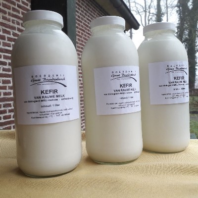 Biologische kefir