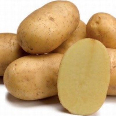 Twinner aardappel BIO - nieuwe oogst